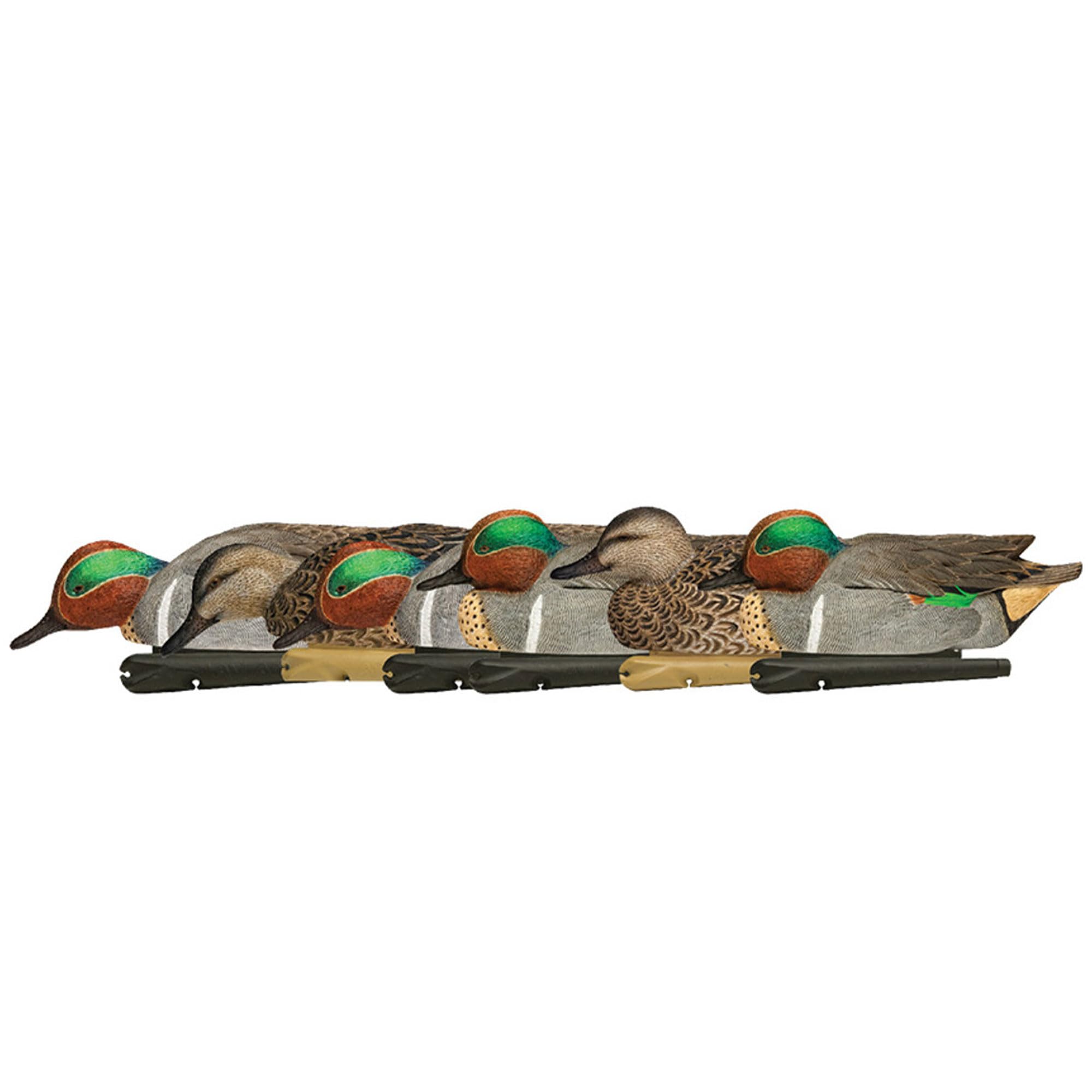 Avian X Topflight Green-Winged Teal Decoys, Realistic Floating Duck Decoys For Hunting, Weight-Forward Swim Keel, Set Of 6, Mult