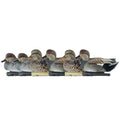 Avian X Topflight Gadwall Decoys Perfectly Replicated Late Season Gray Ducks, Weight Forward Swim Keel, Realistic Movement, Set