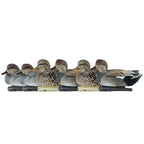 Avian X Topflight Gadwall Decoys Perfectly Replicated Late Season Gray Ducks, Weight Forward Swim Keel, Realistic Movement, Set