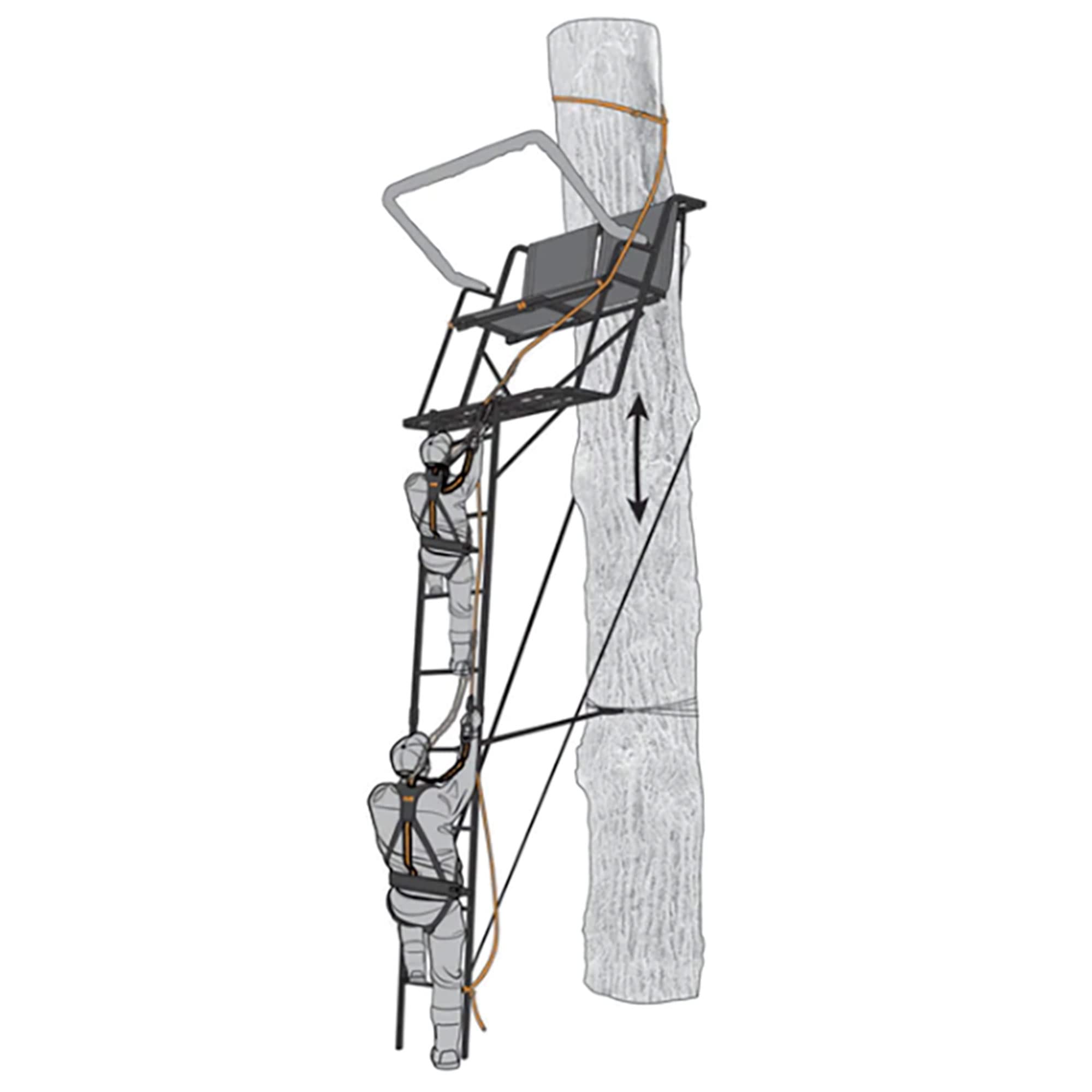 Muddy Safe Line 30 Inch (3-Pack)