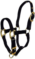 Hamilton Pet & Equine Hamilton 3/4 Nylon Adjustable Chin Horse Halter, Foal, Black