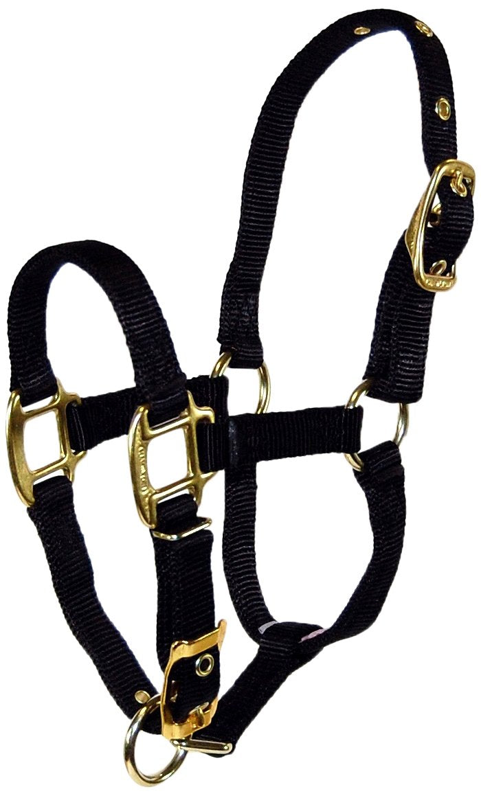 Hamilton Pet & Equine Hamilton 3/4 Nylon Adjustable Chin Horse Halter, Foal, Black