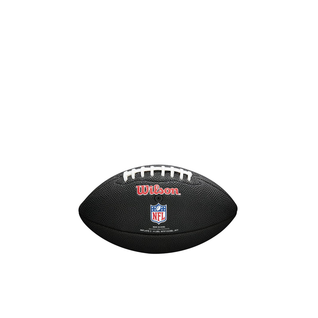 Wilson Sporting Goods Nfl Tampa Bay Buccaneers Team Logo Football , Black, Mini Size