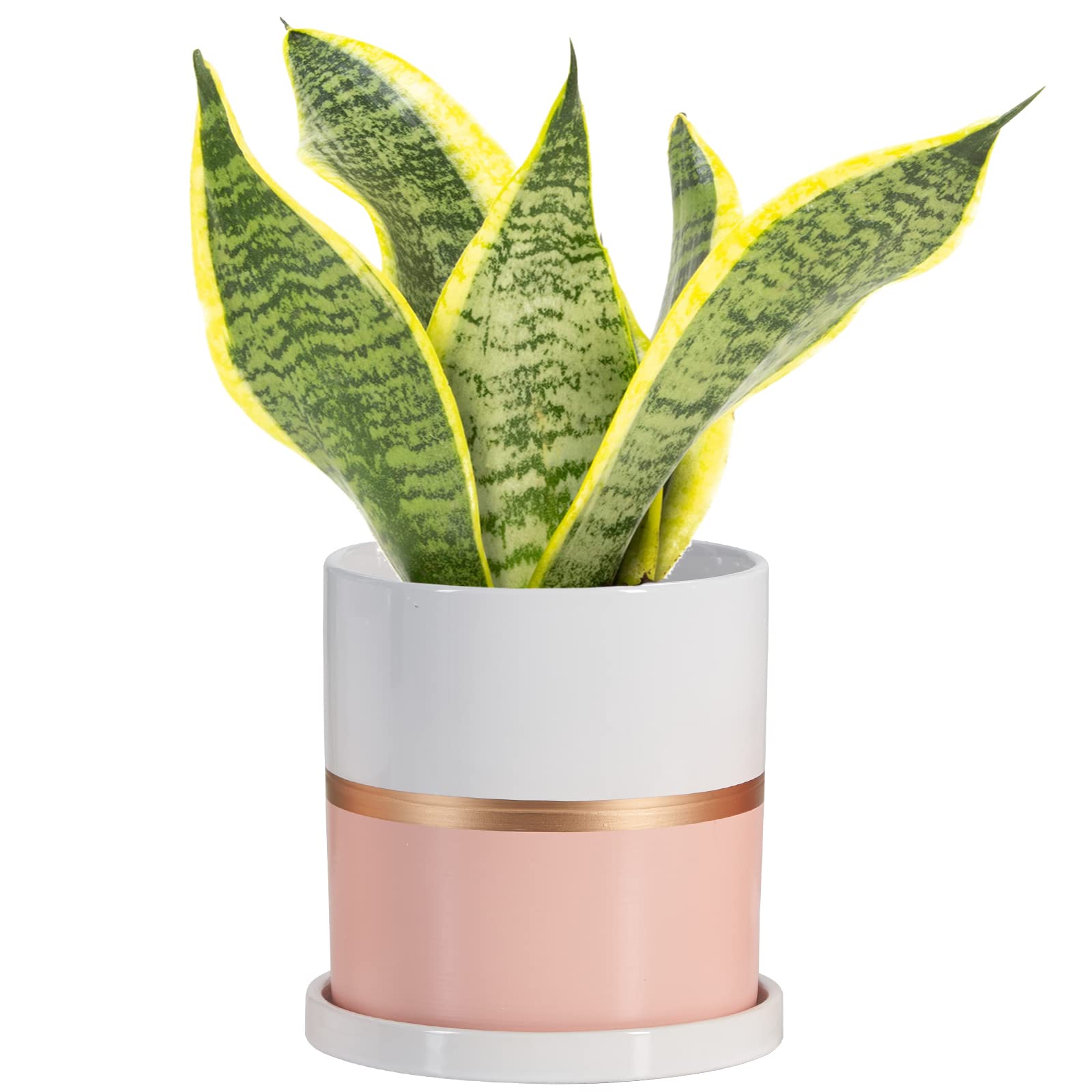 Ekirlin 6 Inch Plant Pot - Ceramic Flower Planters Indoor - Modern Succulents Containers With Drain Hole Saucer, Decorate Home, 