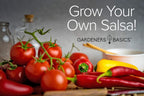 Heirloom Hot Salsa Growing Seed Packets 8 Varieties Habanero, Jalapeno, Serrano Peppers, Roma, San Marzano Tomato, Cilantro, Gre
