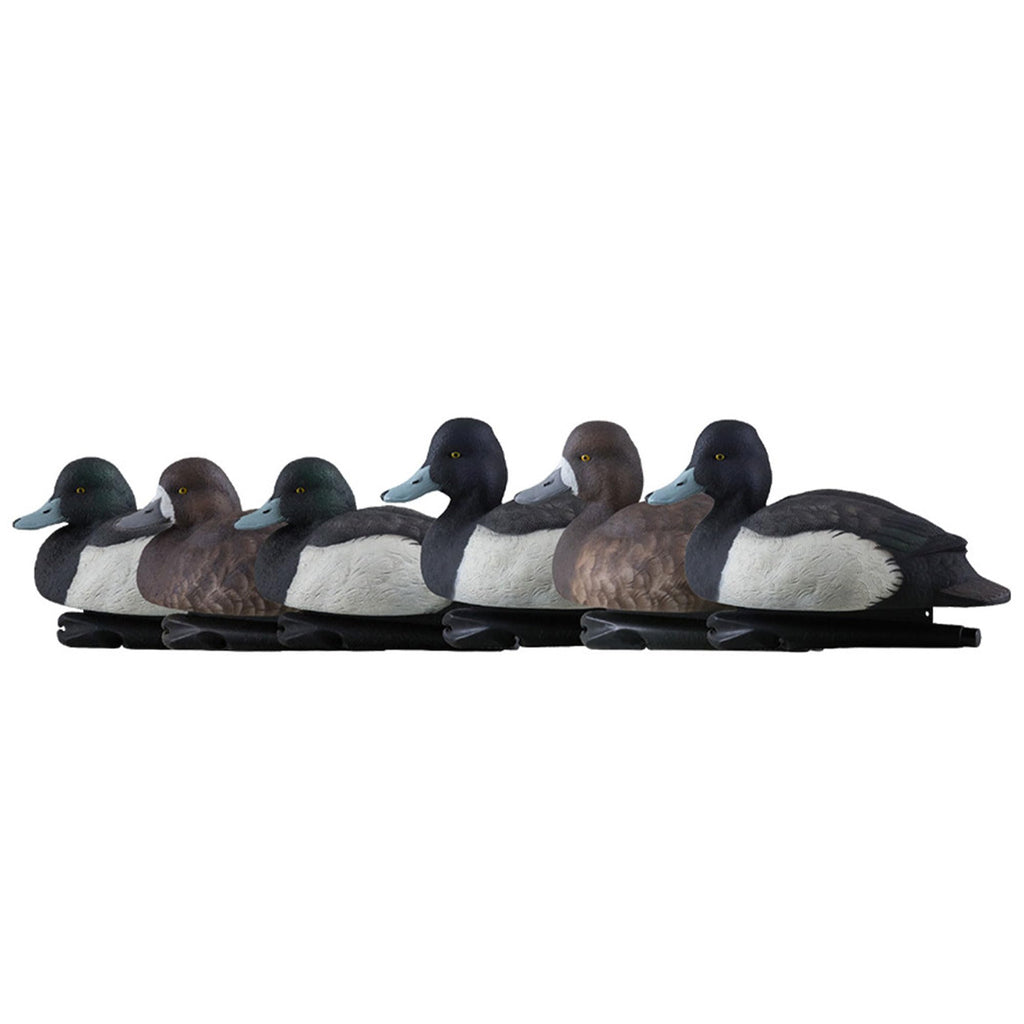 Avian-X Topflight Bluebill Duck Decoy 6Pk