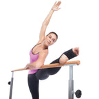 Gofit Brown Gobarre Workout Set (Gf-Bbar)
