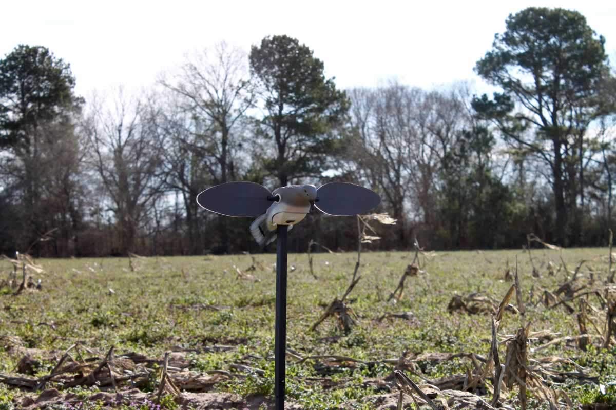 Mojo Outdoors Elite Series Dove Decoy - Ultra Realistic Motion Spinning Wing Decoy With Magnetically Attached Wings And Drop-In