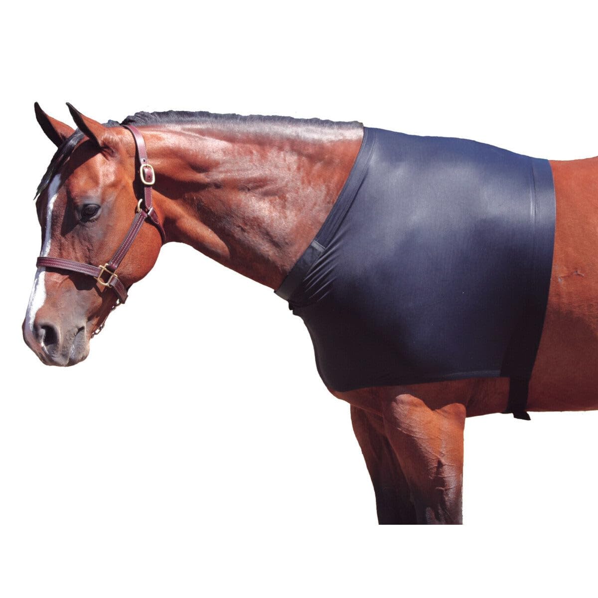 SLEAZY SLEEPWEAR Horse Shoulder Guard, Color: Black, Size: M (06411)