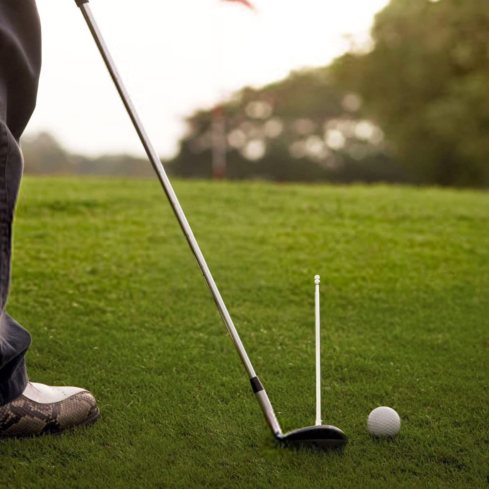 The Golfer Store Golf Alignment Rods, Golf Swing Trainer Aid Golf Club Alignment Stick Corrector Help Visualize And Align Your G