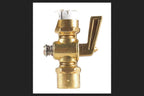 Valve Pipe Feml 1/4X1/4'' (Pack Of 1)