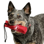 Company Of Animals Canvas Training Dummy For Dogs, Retrieval Training Equipment Floats, Highly Visible, Long Distance Throwing,