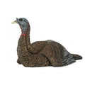 Avian-X Avx8011 Lcd Lifelike Collapsible Laydown Breeding Hen Turkey Hunting Decoy With Stake, Compression Strap And Carrying Ba