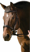 Padded Raised Dressage Bridle with Crank Flash Noseband and Web Reins by Henri de Rivel