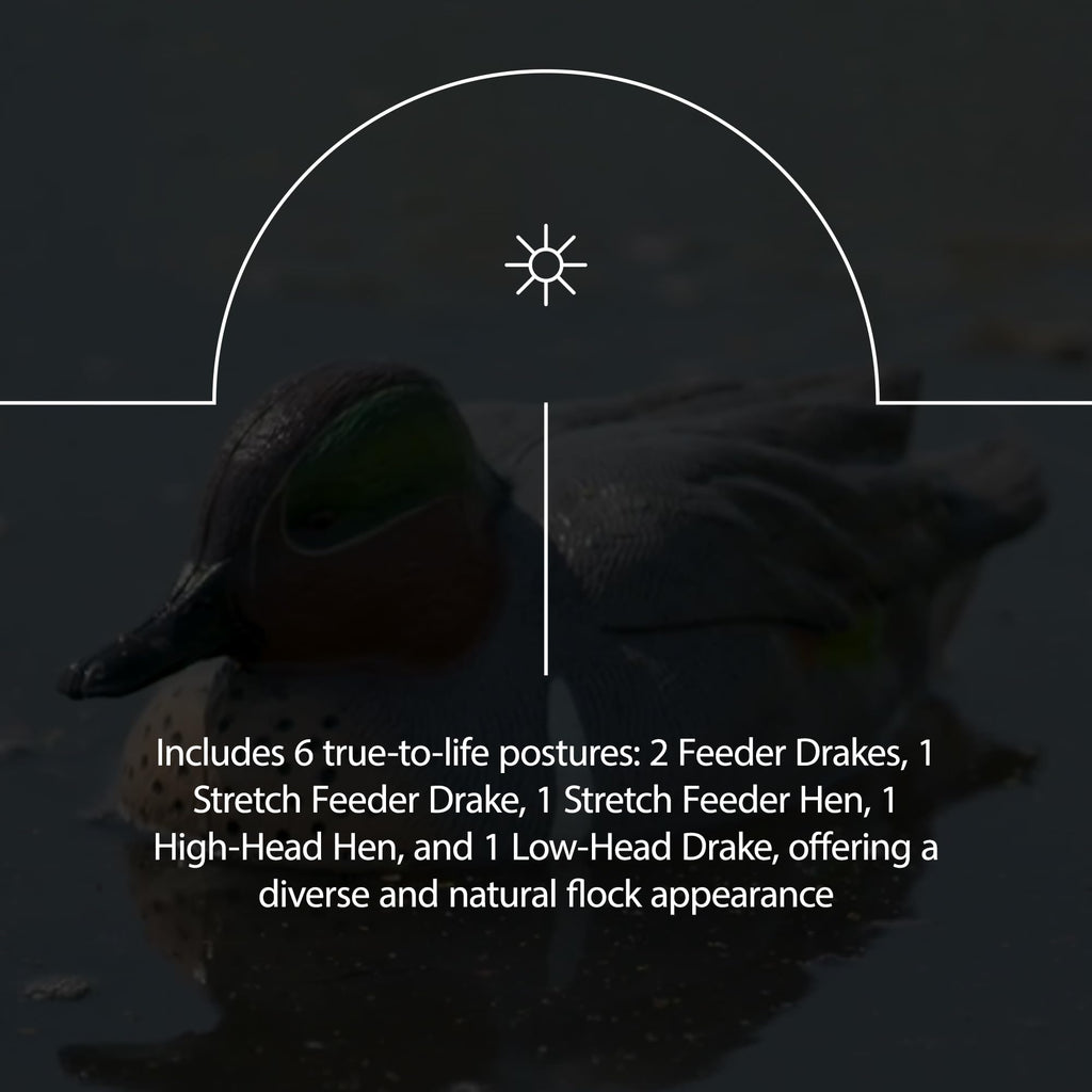 Avian-X Axp Full Body Mallards Decoy With Durable Materials, Wind Activated Motion System, And 6 True To Life Postures, 6 Pack,
