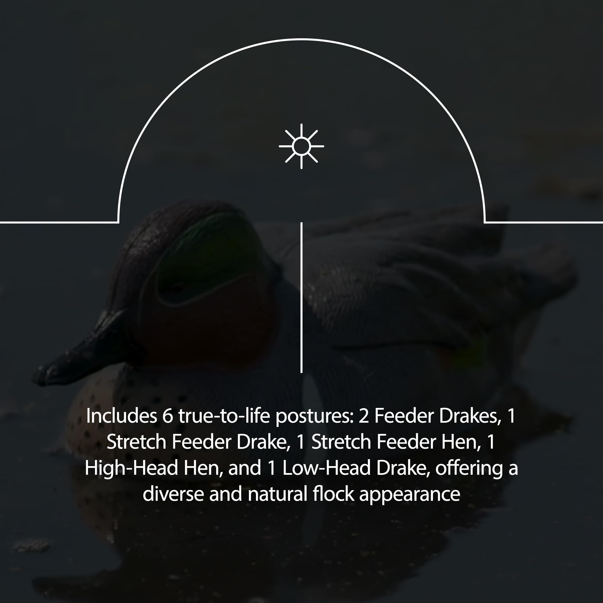 Avian-X Axp Full Body Mallards Decoy With Durable Materials, Wind Activated Motion System, And 6 True To Life Postures, 6 Pack,