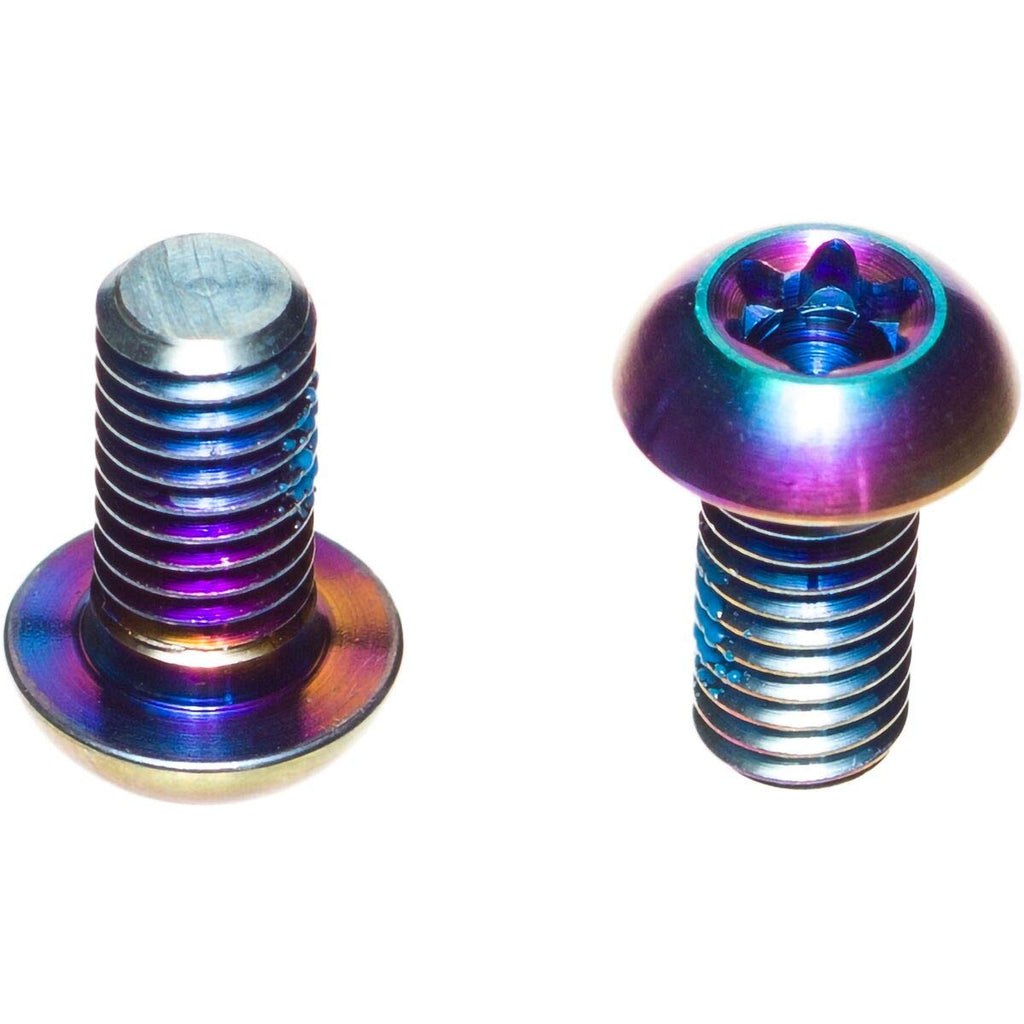 Sram Titanium T25 Rotor Bolt Kit - Rainbow, Set Of 12