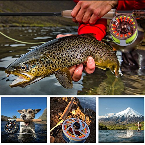 Goture Fishing Line Fly Line Dacron Backing//8 Strands Braided High Strength Pe Smooth For Trout Bass Pike Saltwater Freshwater