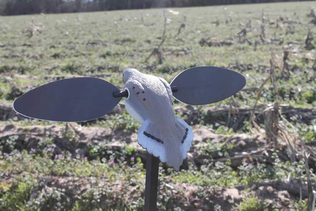 Mojo Outdoors Elite Series Dove Decoy - Ultra Realistic Motion Spinning Wing Decoy With Magnetically Attached Wings And Drop-In
