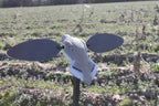 Mojo Outdoors Elite Series Dove Decoy - Ultra Realistic Motion Spinning Wing Decoy With Magnetically Attached Wings And Drop-In