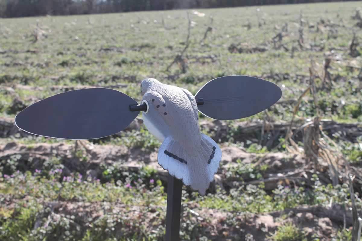 Mojo Outdoors Elite Series Dove Decoy - Ultra Realistic Motion Spinning Wing Decoy With Magnetically Attached Wings And Drop-In