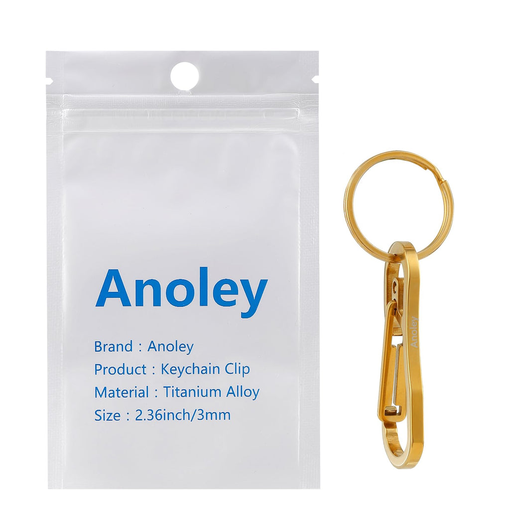 Alsmiley Stainless Steel Carabiner Clip Retractable Ring Set Keychain Quick Release Hooks For Men Women Gold
