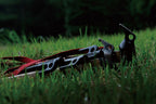 Snowpeak Solid Stakes30 6 Piece R-103-1