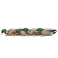 Avian X Topflight Backwater Mallards Duck Decoys Pack, Ultra Realistic Floating Mallard Hunting Decoy, 3 Feeding Postures, Multi