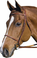 Henri de Rivel Fancy Raised Bridle Horse Havana