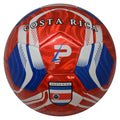 PLAYPRO Country Training Soccer Ball: World Edition (Costa RICA, 5)