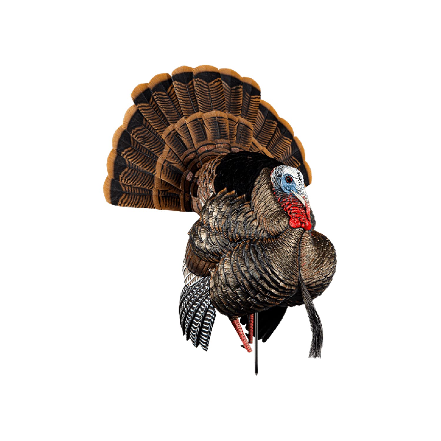 Avian-X Hdr Strutter Turkey Decoy