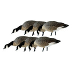 Avian X Axp Honkers Fusion Pack Lesser Canada Goose Decoys, Oversized Realistic Feeder Bodies, Flocked Heads, And Slotted Decoy