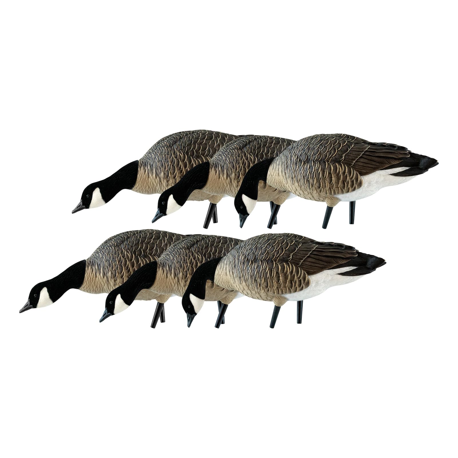 Avian X Axp Honkers Fusion Pack Lesser Canada Goose Decoys, Oversized Realistic Feeder Bodies, Flocked Heads, And Slotted Decoy