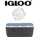 Igloo Cooler Plastic Hinges For Ice Chests (Set Of 3), White, Standard Size, Contain Uv Inhibitors