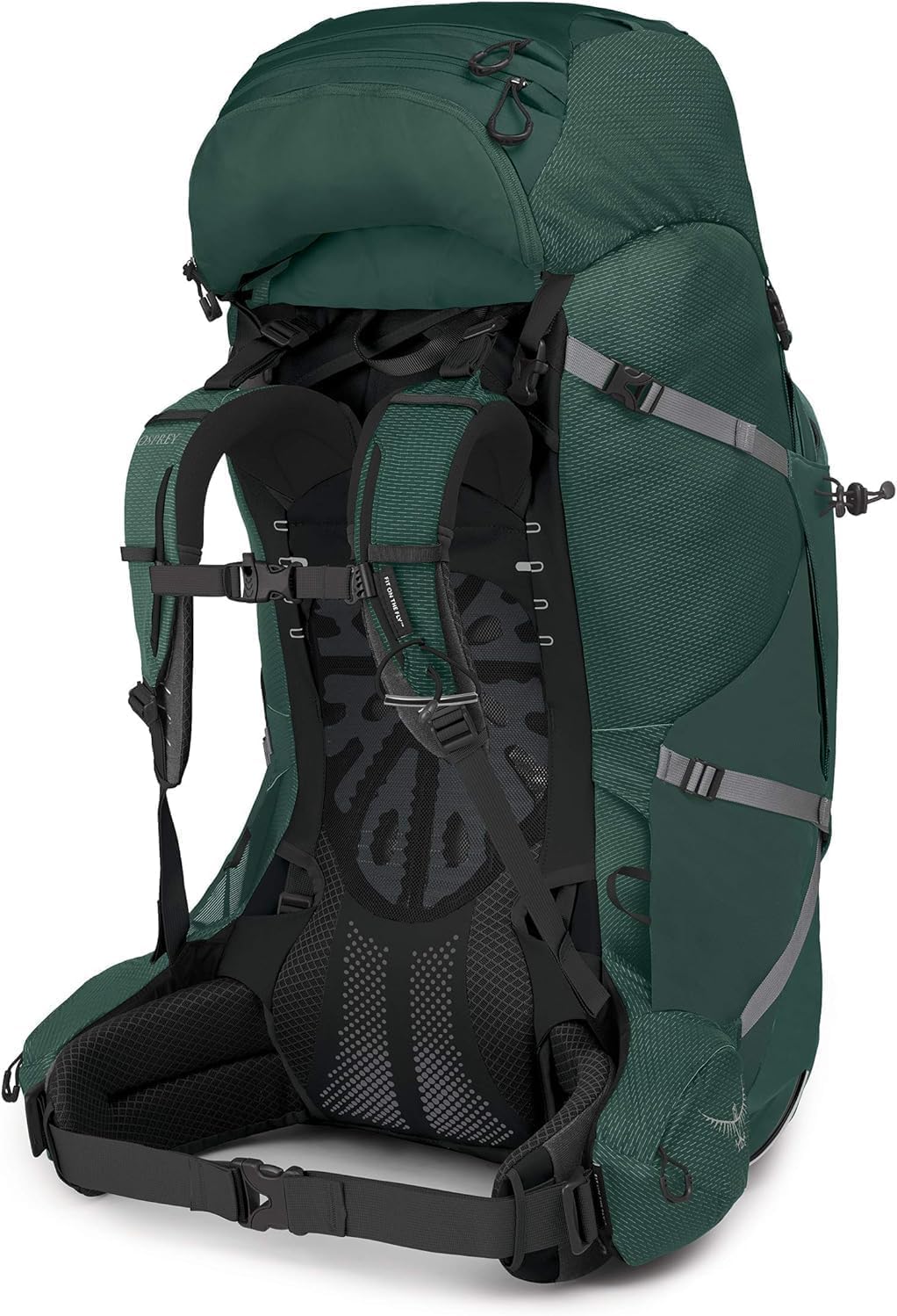 Osprey Aether Plus 100L Mens Backpacking Backpack, Axo Green, L/XL