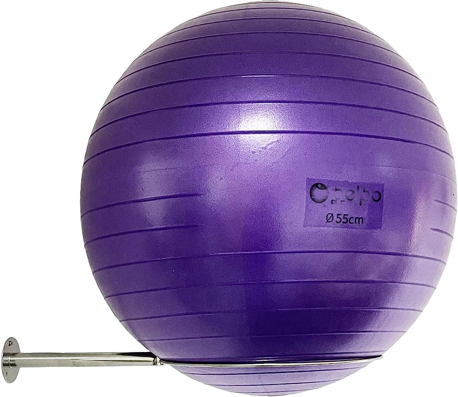Stainless Steel Exercise Ball Holder - Wall Mounted Yoga Ball Storage Rack, 32 cm to 86 cm (13 to 34), With Mounting Screws