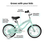 Joystar 14 Inch Kids Bike With Training Wheels For Ages 3-5 Years Old Girls Bike Toddler Bike Beach Cruiser Kids Bicycle Green