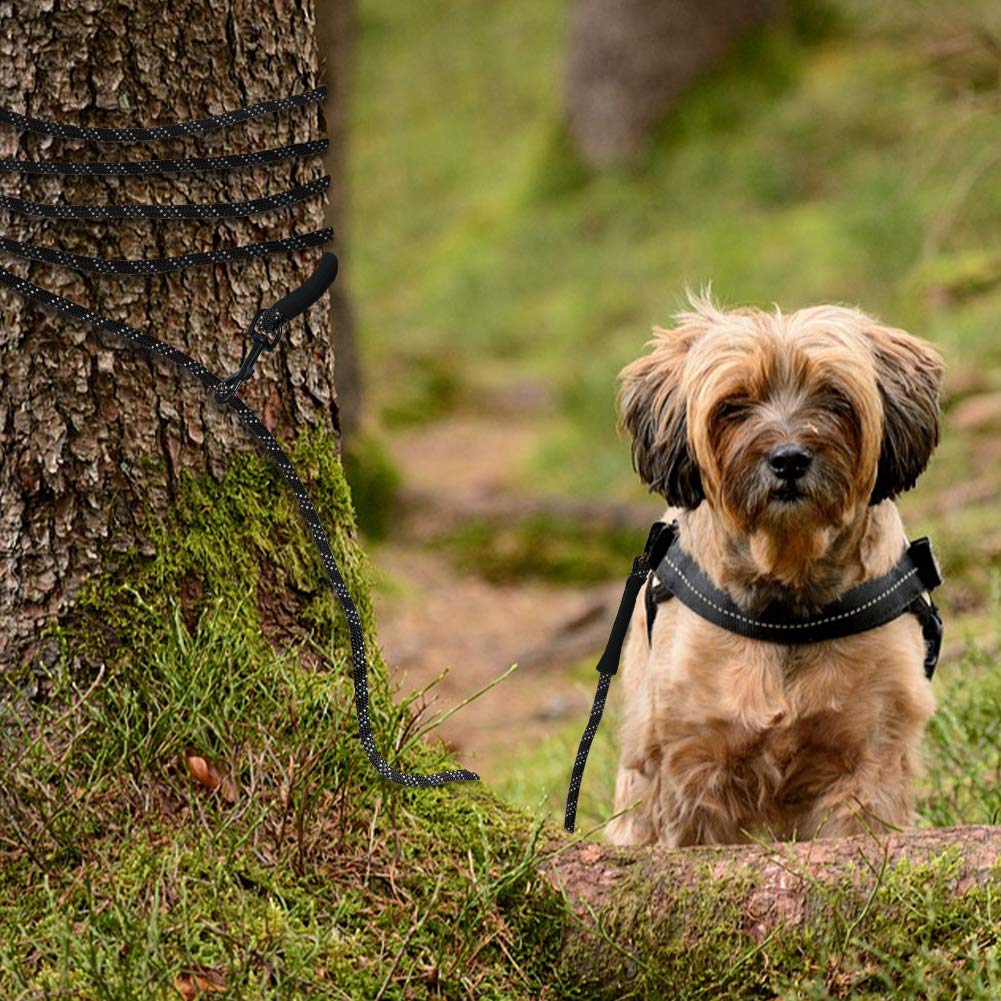 Taglory Dog Tie Out, Long Rope Leash For Dog Training, 50 Ft Heavy Duty Lead With Reflective Stitching For Large Medium Small Do