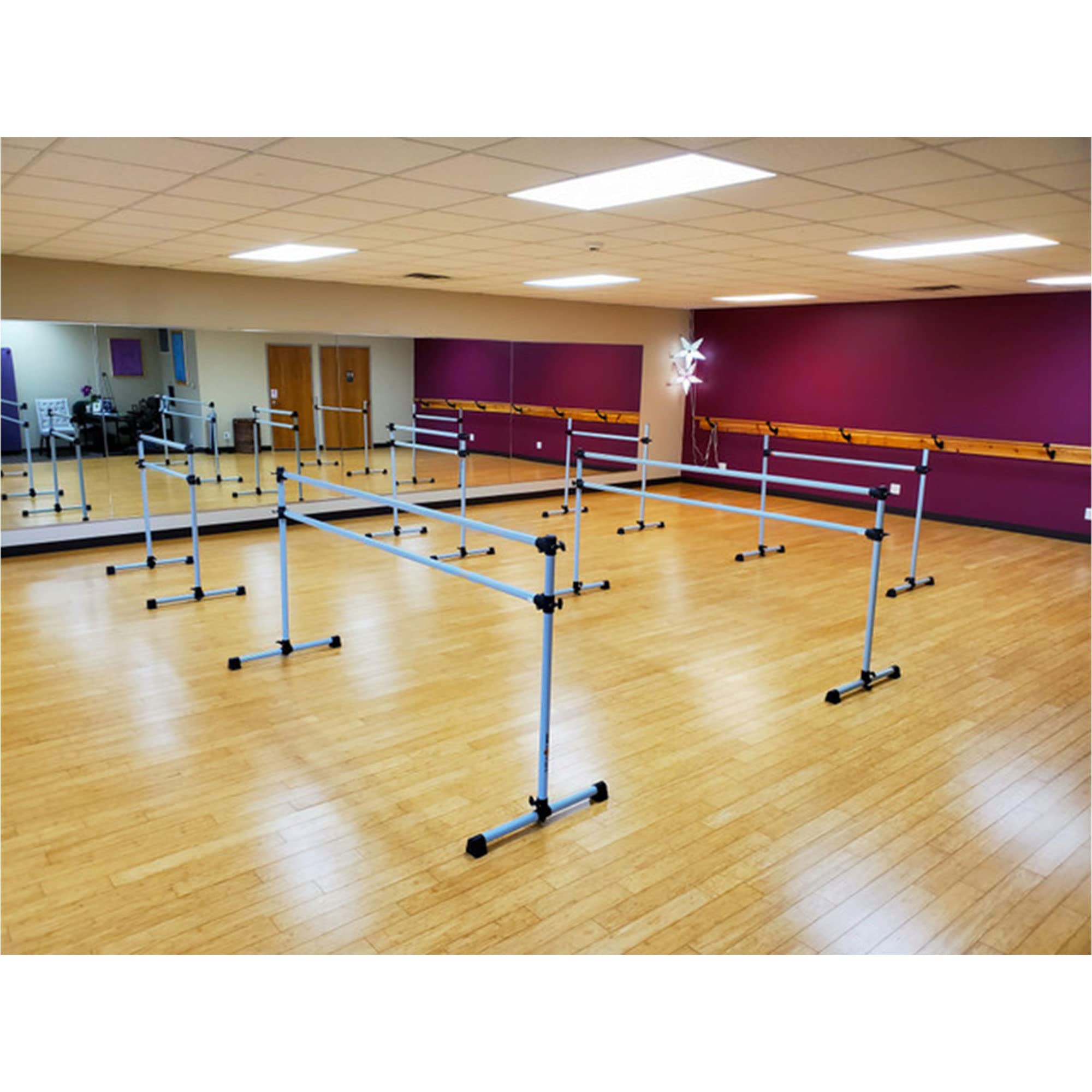 Vita Barre Portable Freestanding Double Ballet Barre, Prodigy, 5 Ft Bars, Satin Silver  Adjustable Height, Usa Made, Home Or Gym