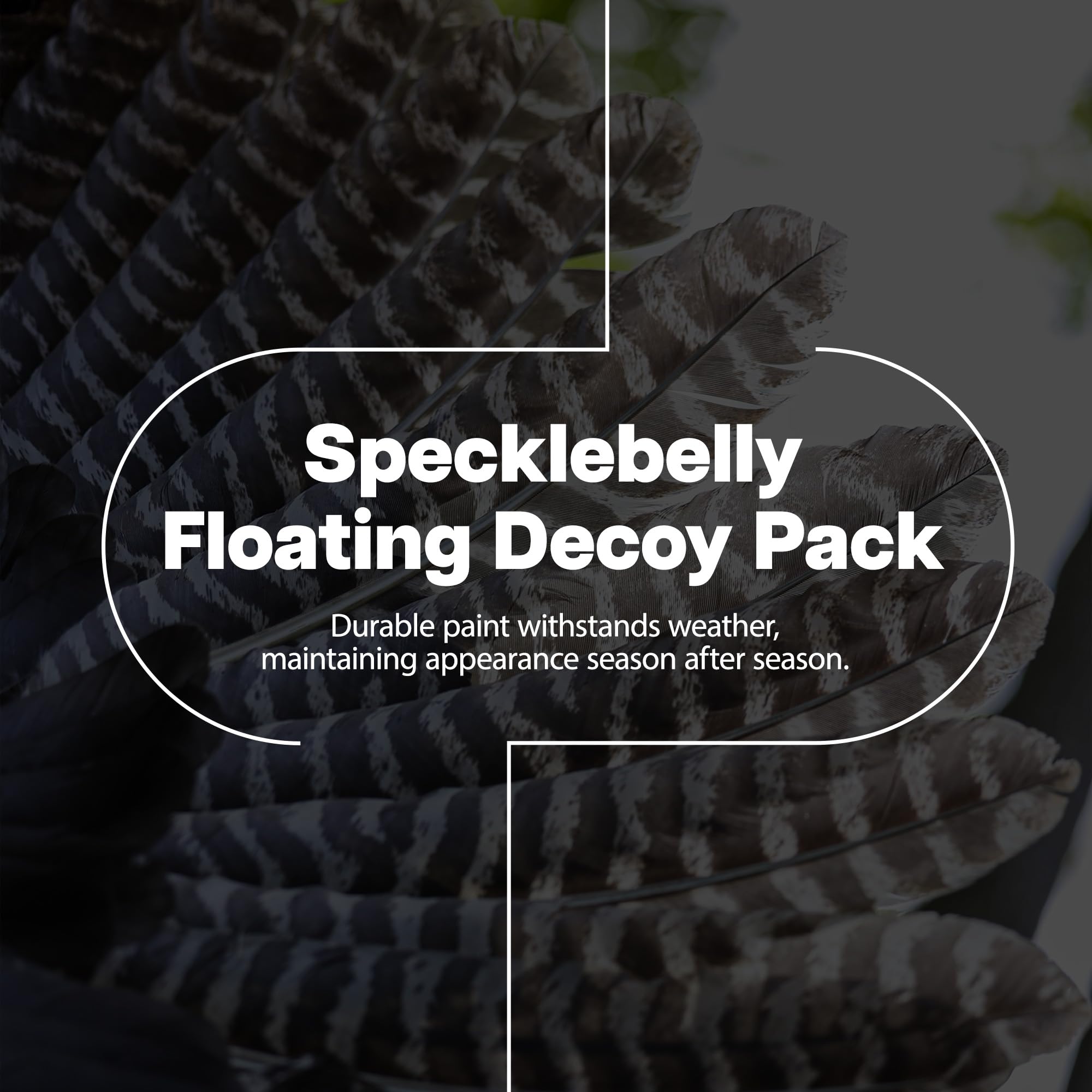 Avian-X Topflight Specklebelly Floating Goose Decoys With True To Life Postures For Hunting Use, Outdoor Sports, And Recreation