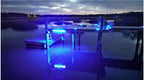 Hydro Glow Dm260B 40W/120Vac Dock Mounted Fishing Light - Blue