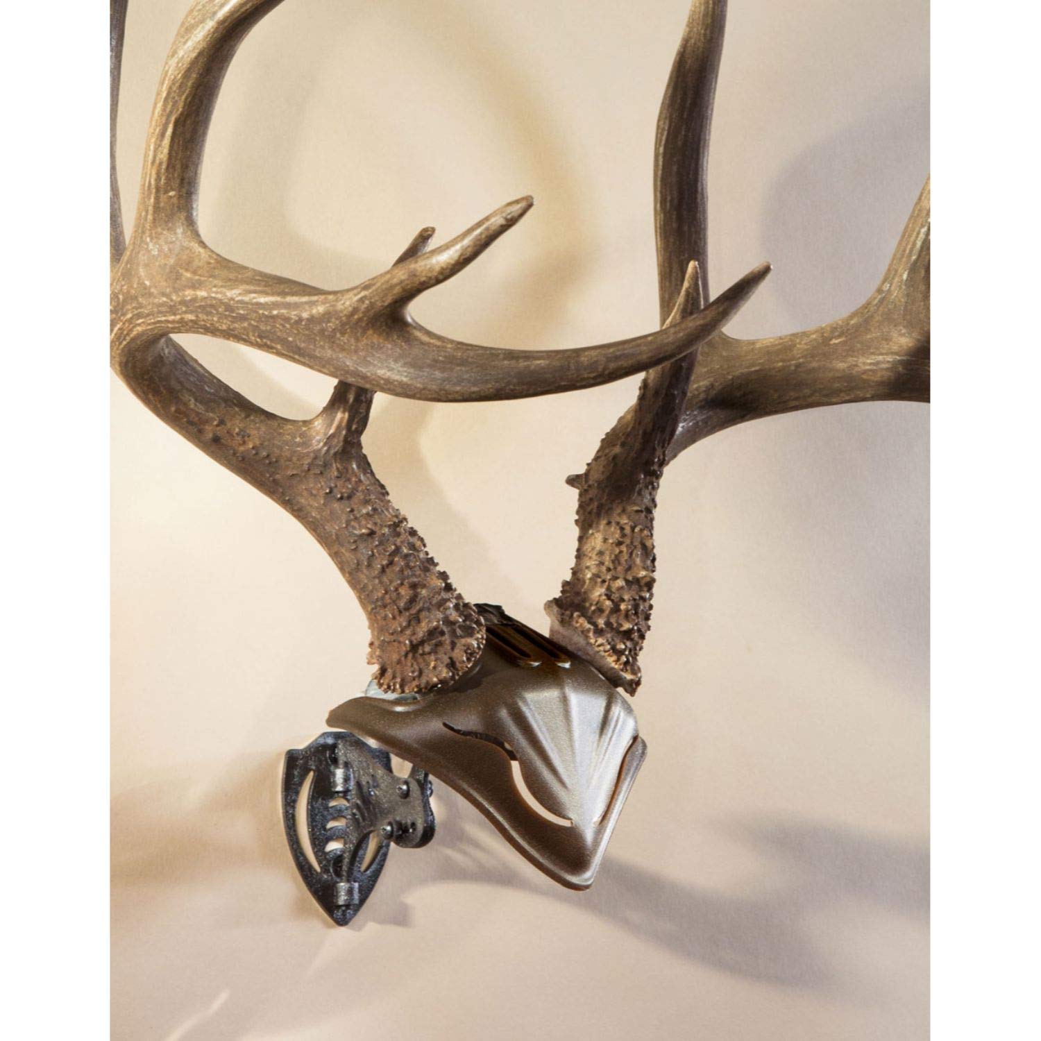 Skull Hooker Bone Bracket European Trophy Mount With Skull Cap Included - Perfect Kit For Hanging And Mounting Capped Skulls For