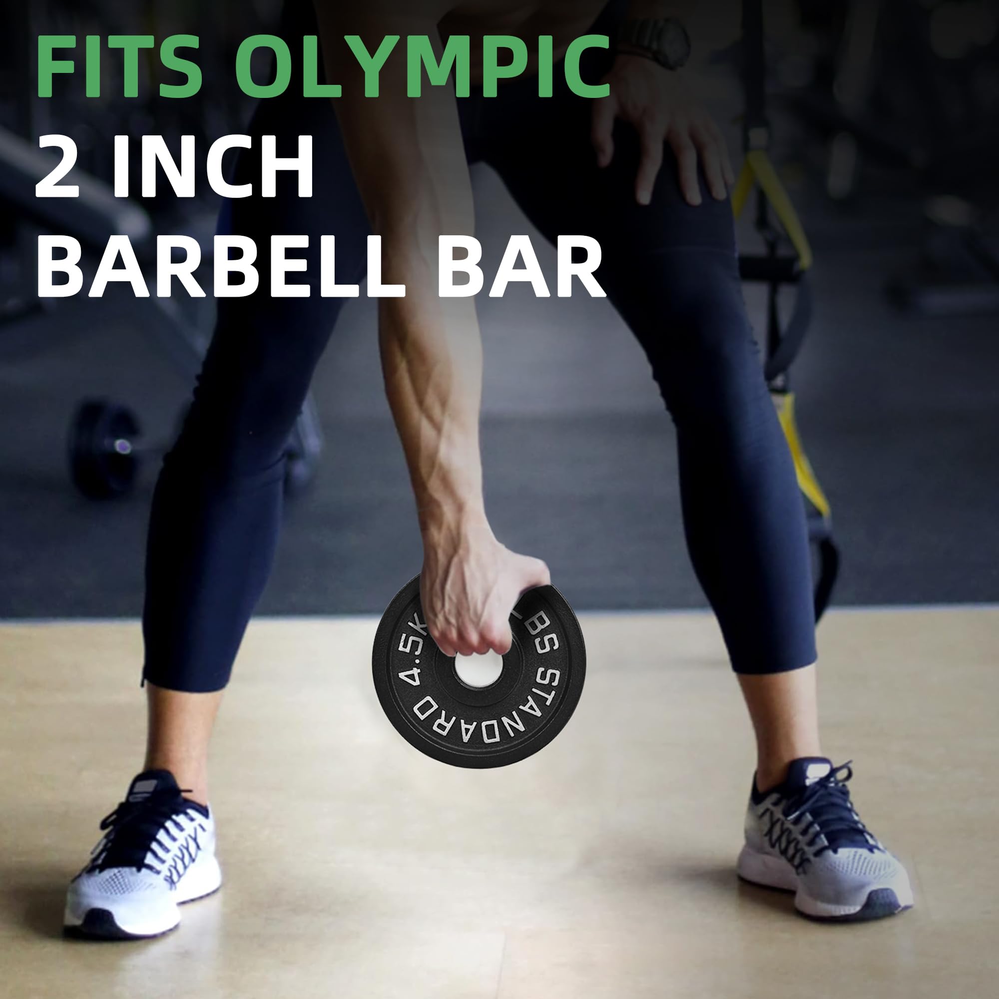 Fitvids Olympic Cast Iron 2-Inch Weight Plate for Strength Training & Weightlifting, Multiple Weights Available, 10LB (Set of 4)