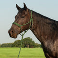 Cashel Flat Braid Halter And Leadrope