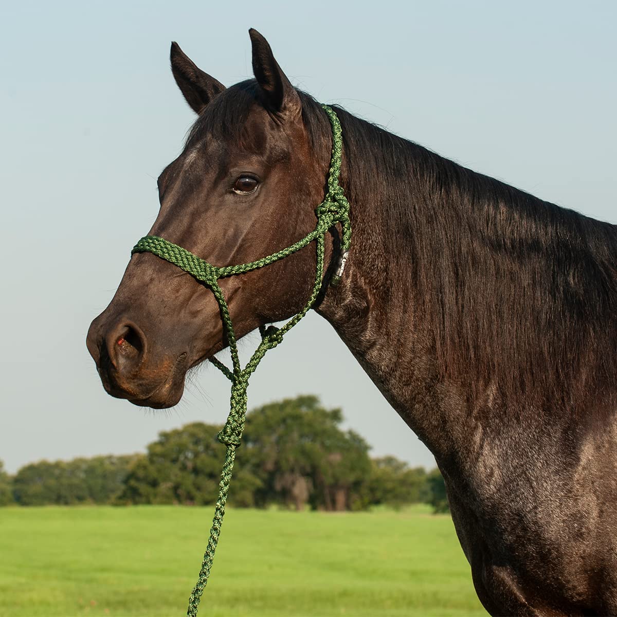 Cashel Flat Braid Halter And Leadrope