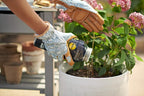 Miracle-Gro Performance Organics All Purpose Plant Nutrition Granules - 1 Lb Shaker Bottle, Organic, All-Purpose Plant Food For