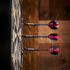 Viper Vanity Steel Tip Darts With Storage/Travel Case: Dart Diva, 22 Grams