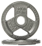 Fitvids Cast Iron Plate Weight Plate For Strength Training And Weightlifting, 2-Inch Center, 10Lb (Set Of 2)
