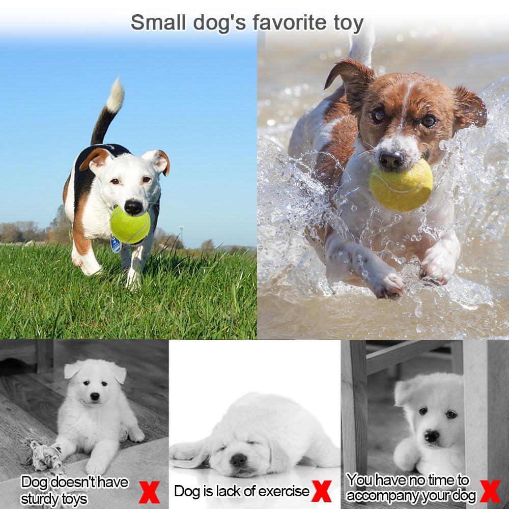 Swity Home Tennis Balls, 12 Pack Tennis Training Balls For Adults Kids Lessons, Practice Or Playing With Pet (Regular Color)
