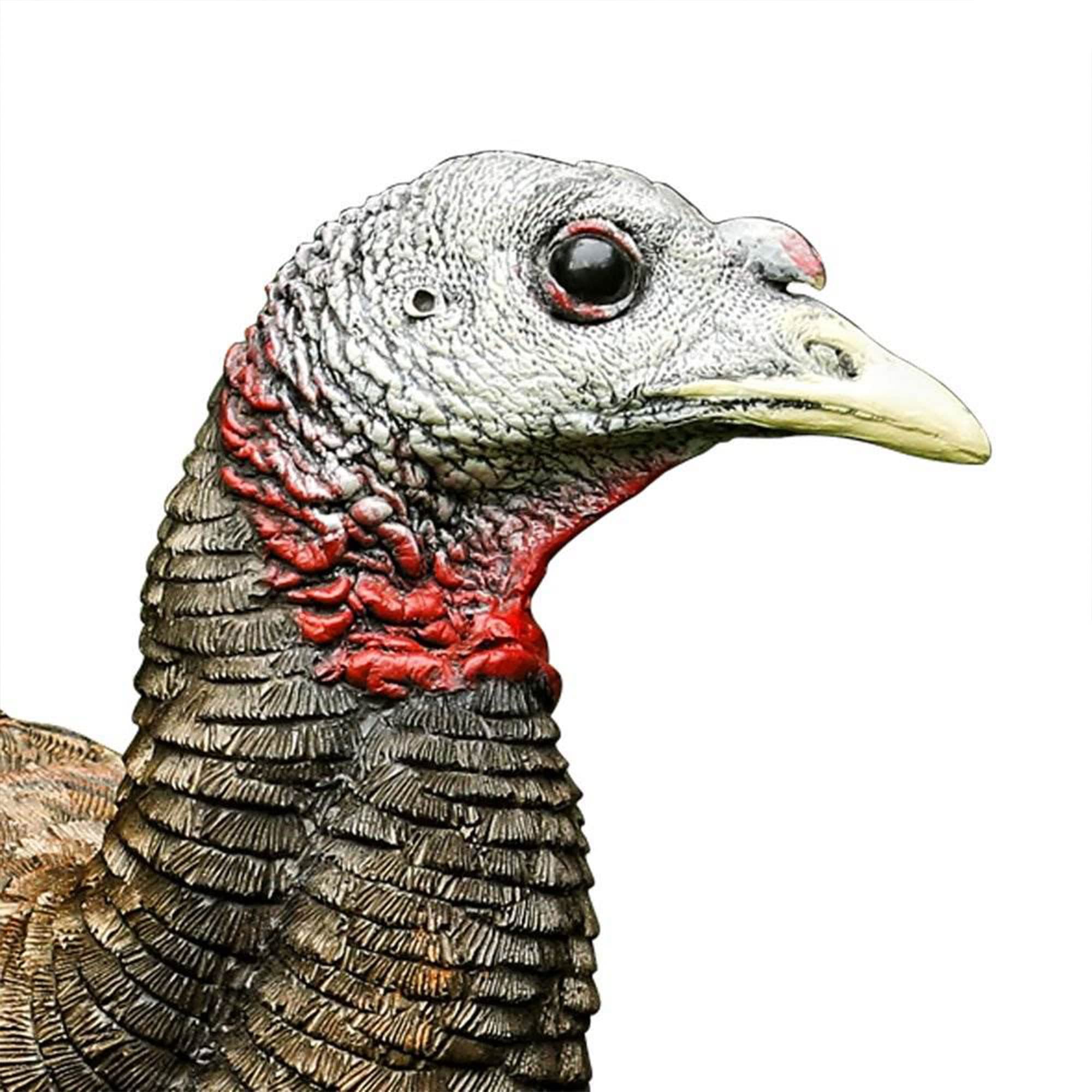 Avian-X Breeder Lifelike Collapsible Decoy Lcd Folding Hen Turkey Hunting Decoy W/ 24 Inch Stake, No Flake Lifelike Paint Detail